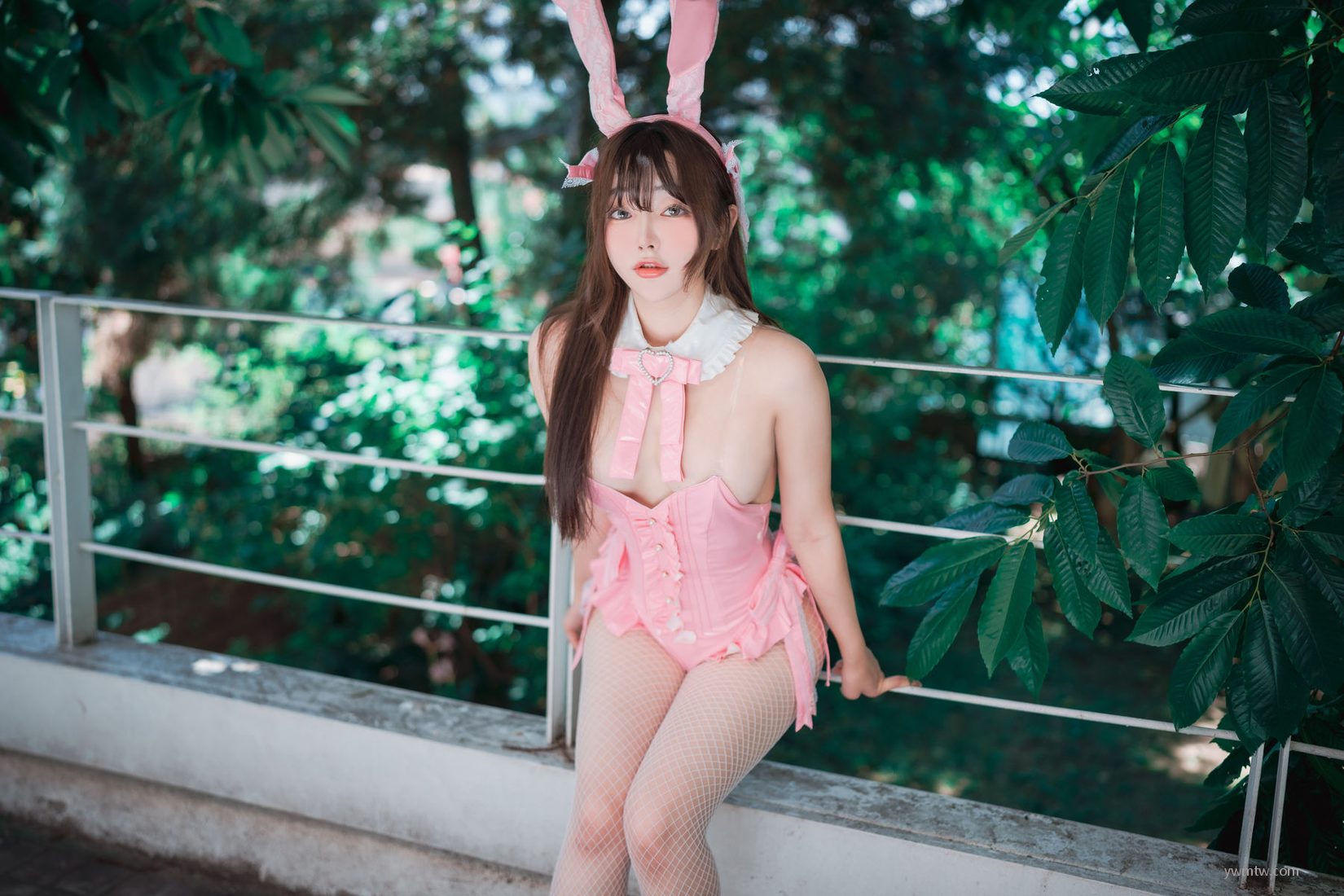 the Year Bunny [ϺDJAWAд] ϼͼ Pink The Newbom of 12ҳ